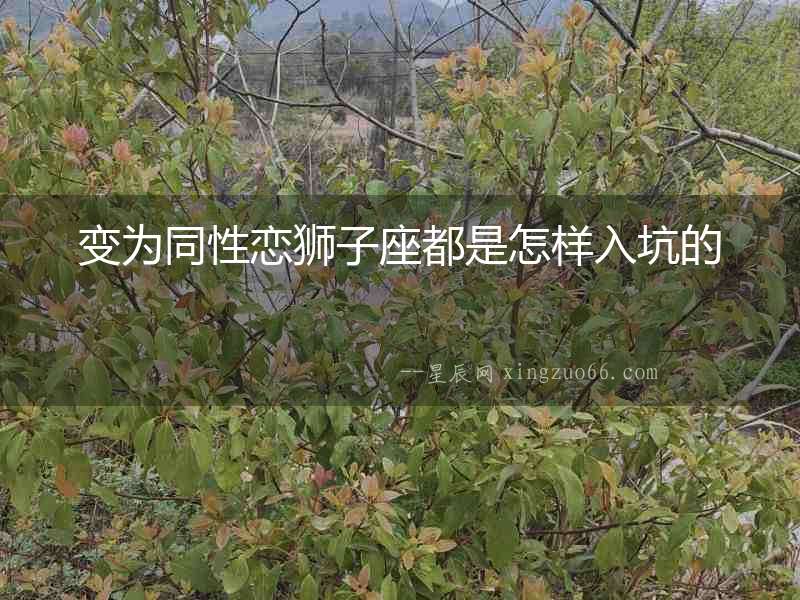 變?yōu)橥詰侏{子座都是怎樣入坑的