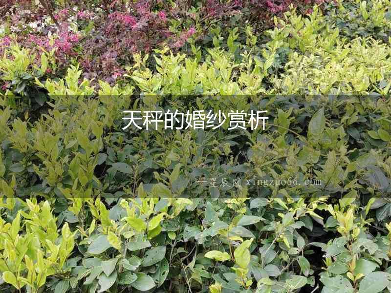 天秤的婚紗賞析