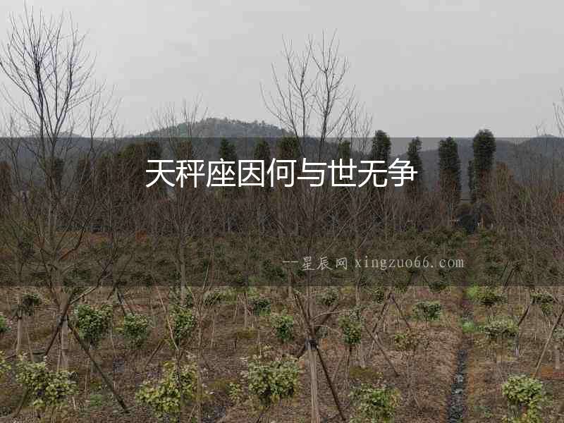 天秤座因何與世無爭