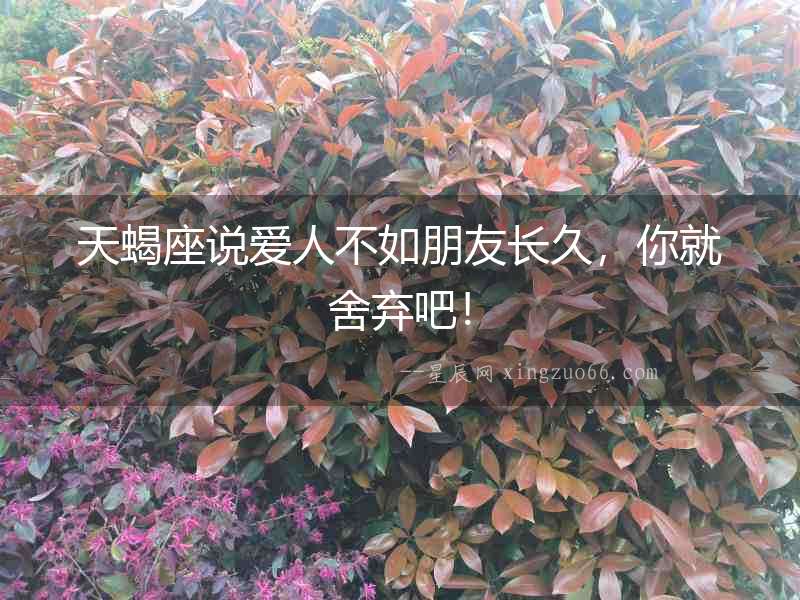 天蝎座說愛人不如朋友長久，你就舍棄吧！