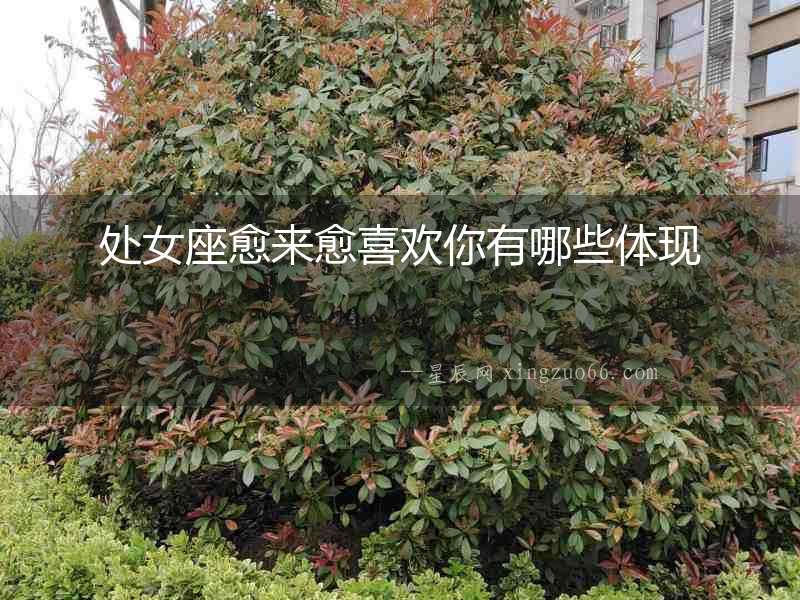 處女座愈來愈喜歡你有哪些體現