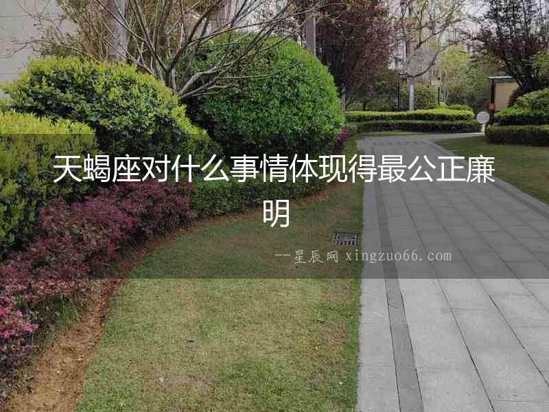 天蝎座對什么事情體現得最公正廉明