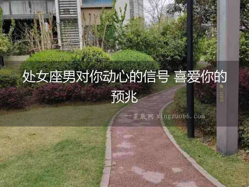 處女座男對你動心的信號 喜愛你的預兆
