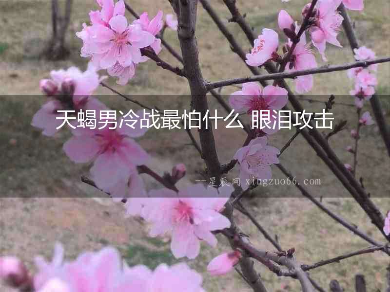 天蝎男冷戰最怕什么 眼淚攻擊