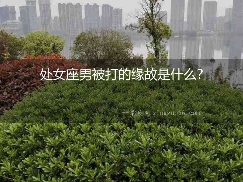 處女座男被打的緣故是什么？