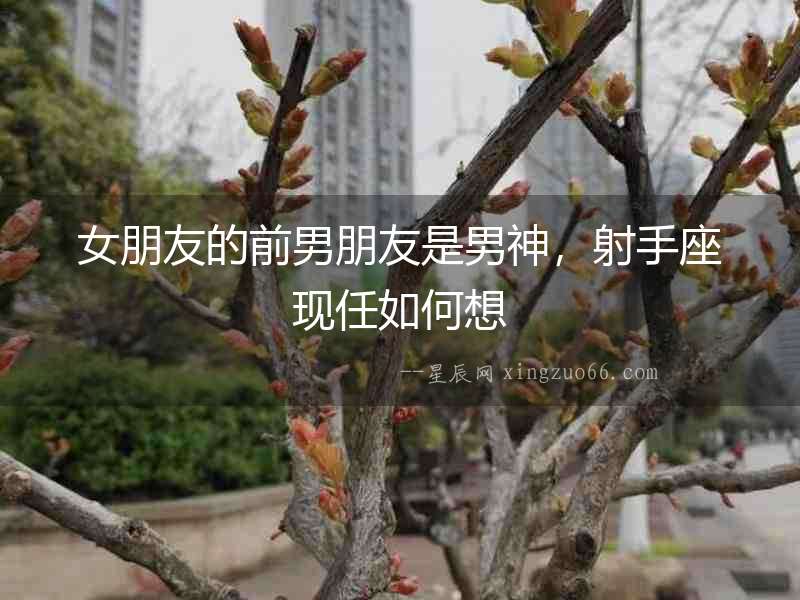女朋友的前男朋友是男神，射手座現任如何想
