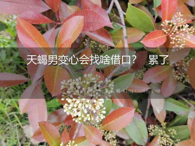 天蝎男變心會(huì)找啥借口？  累了