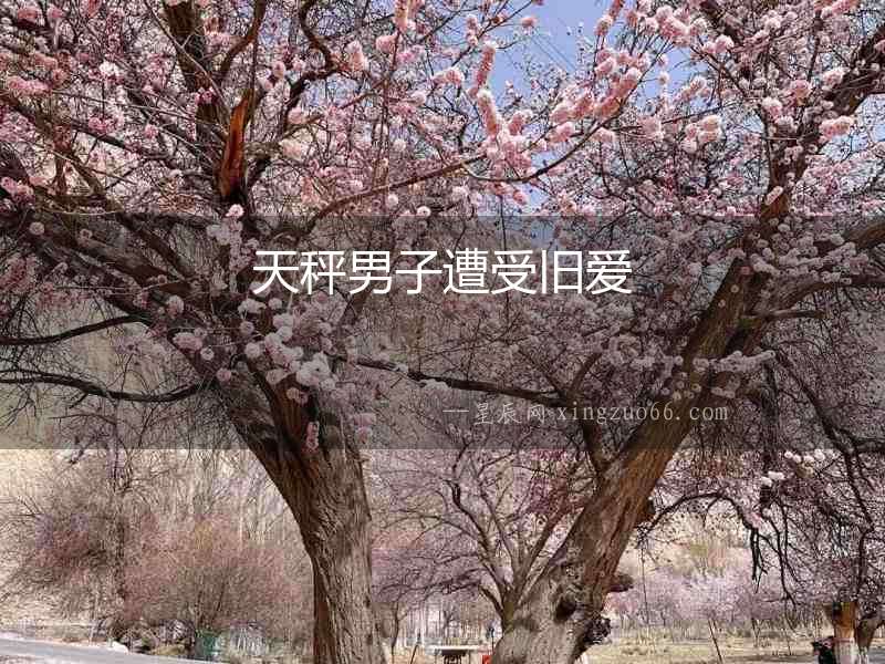 天秤男子遭受舊愛