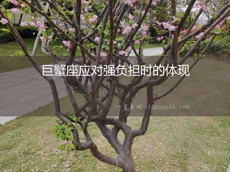 巨蟹座應對強負擔時的體現