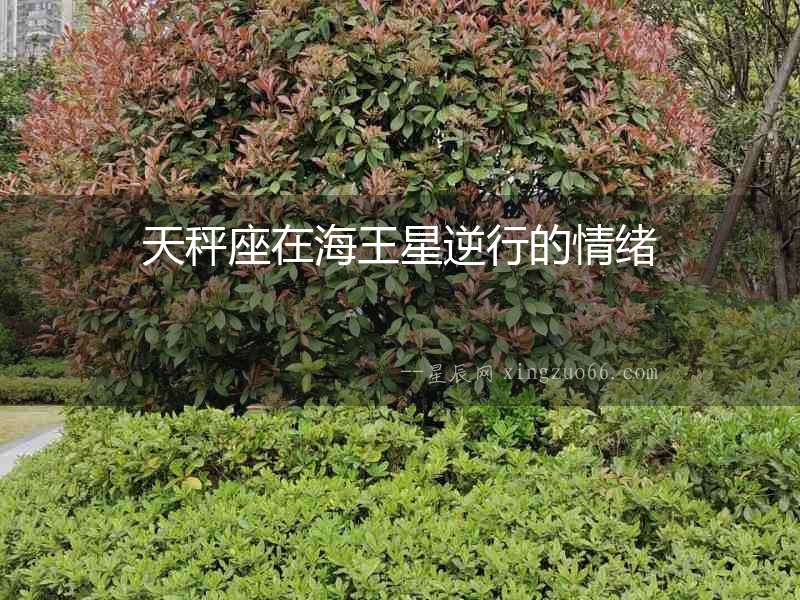 天秤座在海王星逆行的情緒