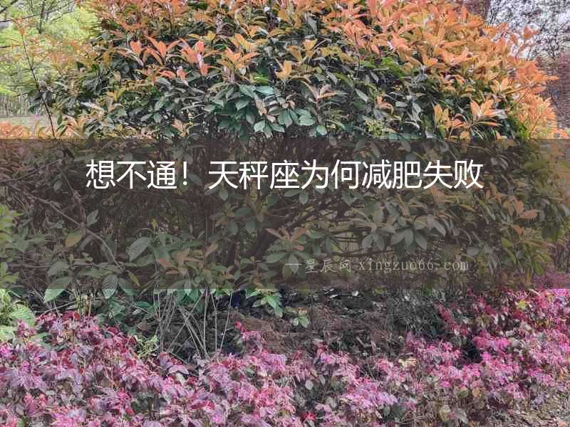 想不通！天秤座為何減肥失敗