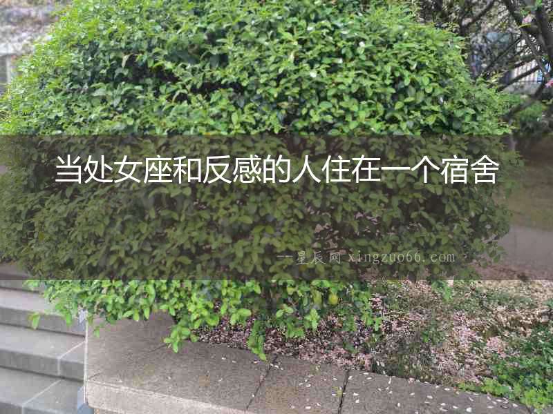 當(dāng)處女座和反感的人住在一個(gè)宿舍