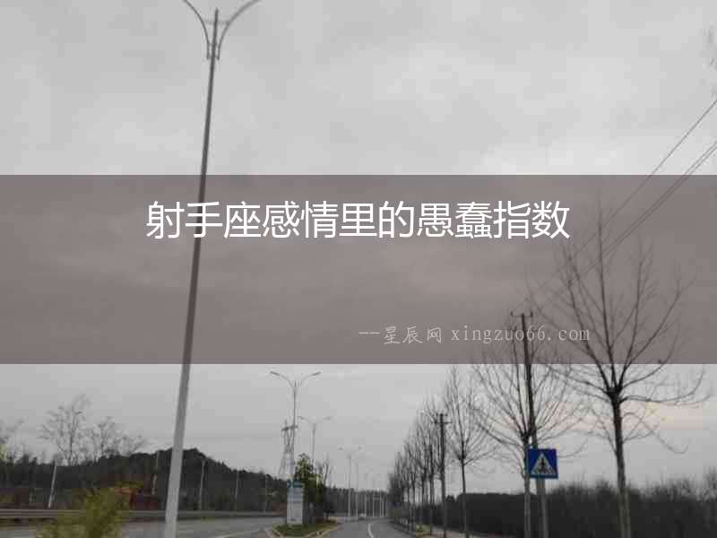 射手座感情里的愚蠢指數