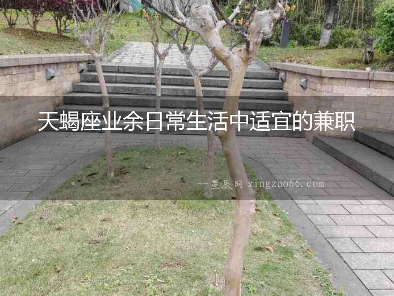 天蝎座業(yè)余日常生活中適宜的兼職