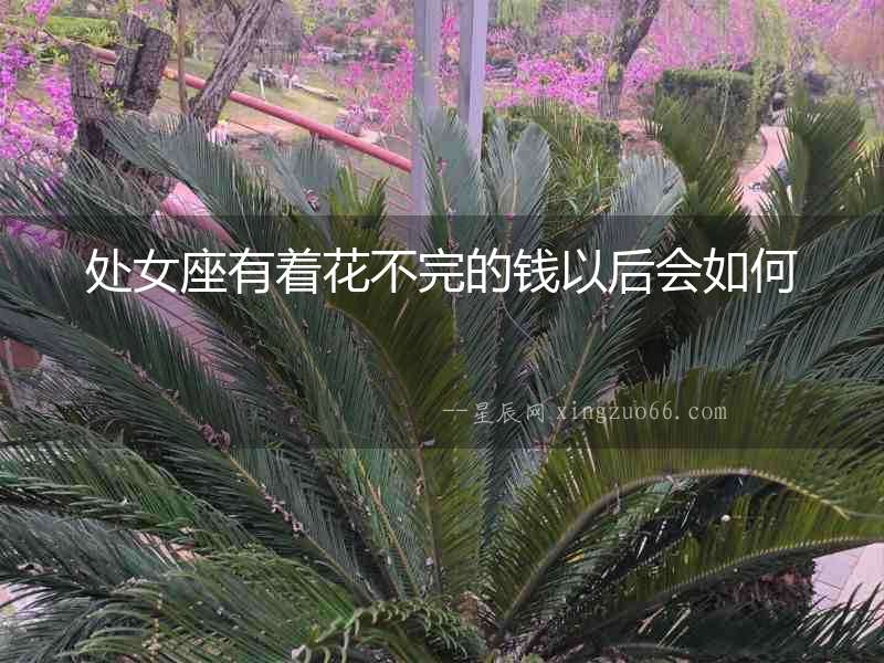處女座有著花不完的錢以后會(huì)如何