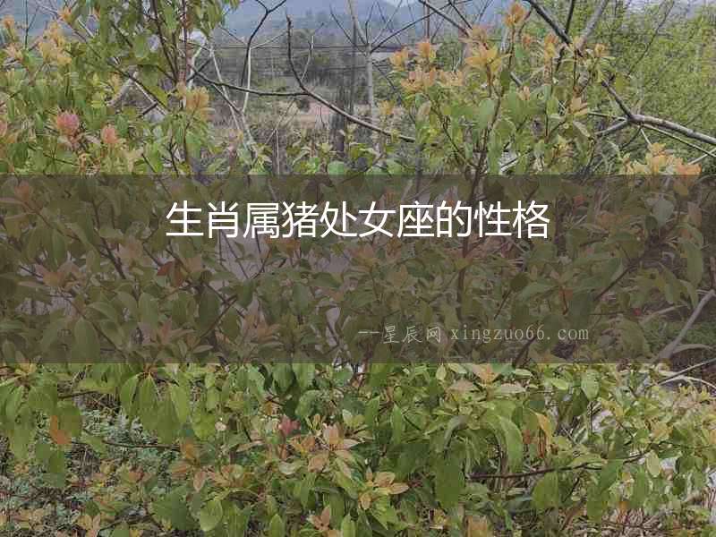 生肖屬豬處女座的性格