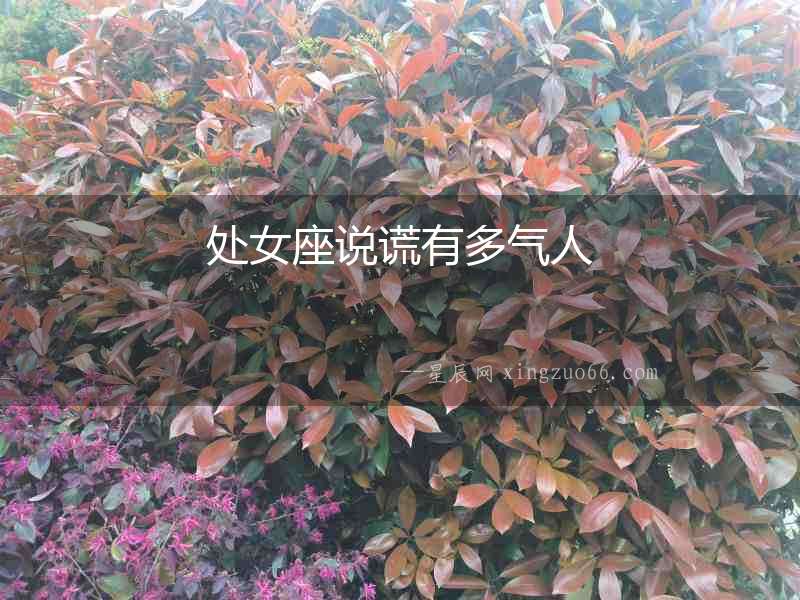 處女座說(shuō)謊有多氣人