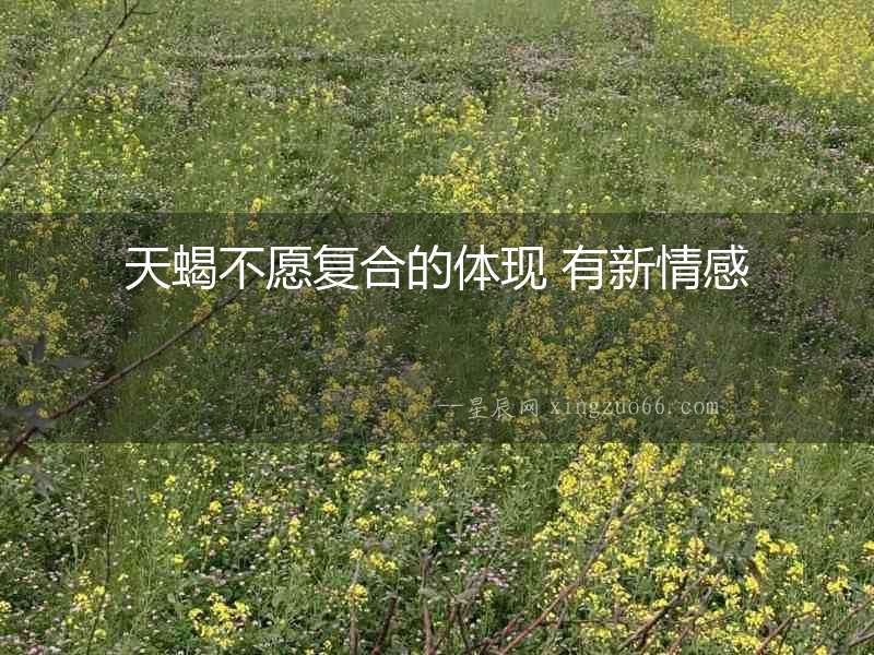 天蝎不愿復(fù)合的體現(xiàn) 有新情感