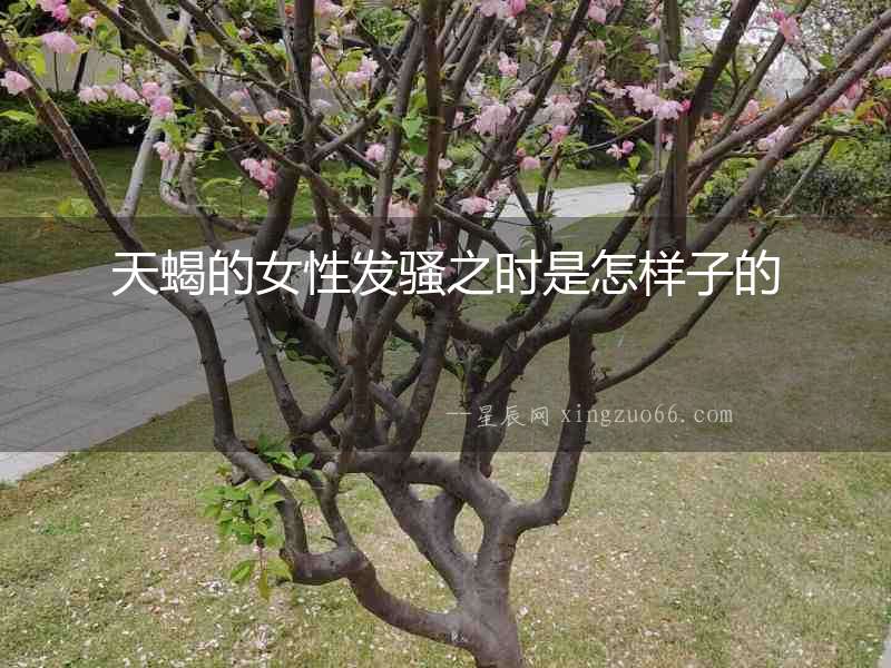 天蝎的女性發(fā)騷之時(shí)是怎樣子的