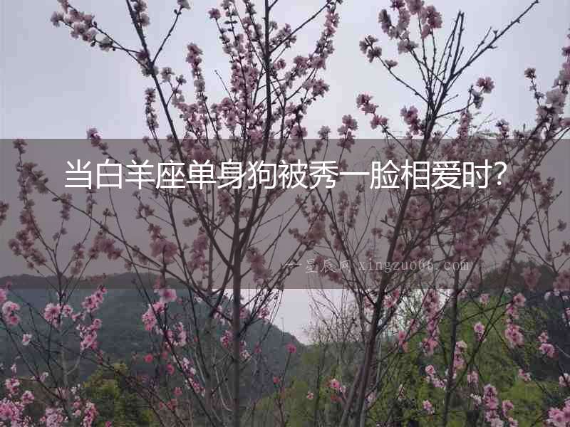 當(dāng)白羊座單身狗被秀一臉相愛時(shí)？