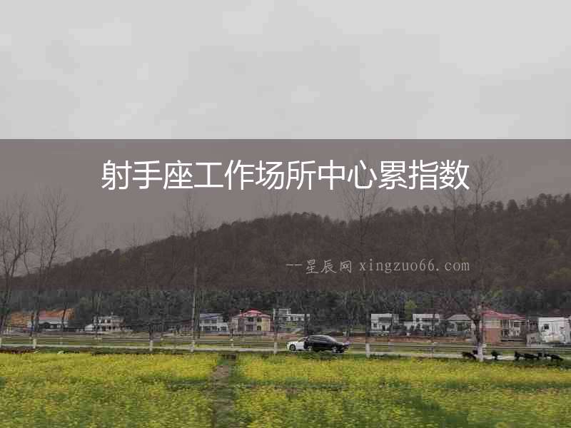 射手座工作場所中心累指數