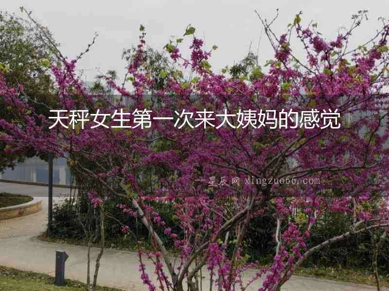 天秤女生第一次來大姨媽的感覺