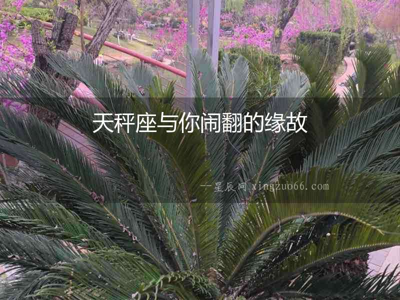 天秤座與你鬧翻的緣故