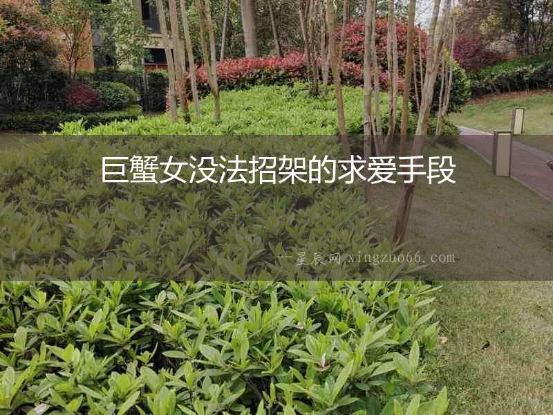 巨蟹女沒(méi)法招架的求愛(ài)手段