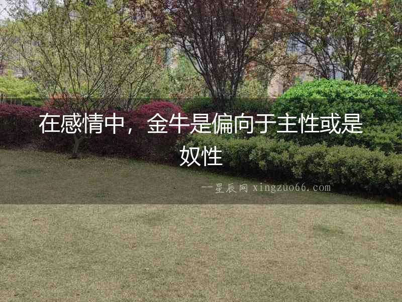 在感情中，金牛是偏向于主性或是奴性