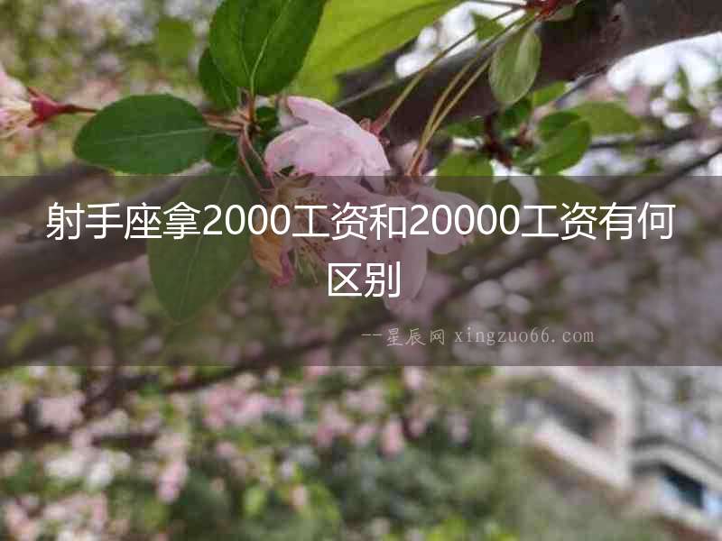 射手座拿2000工資和20000工資有何區(qū)別