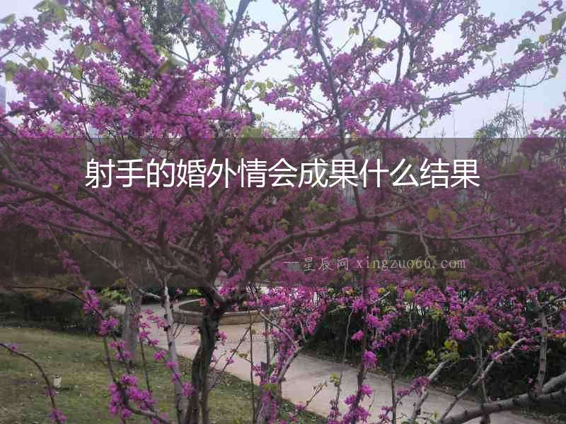 射手的婚外情會成果什么結果