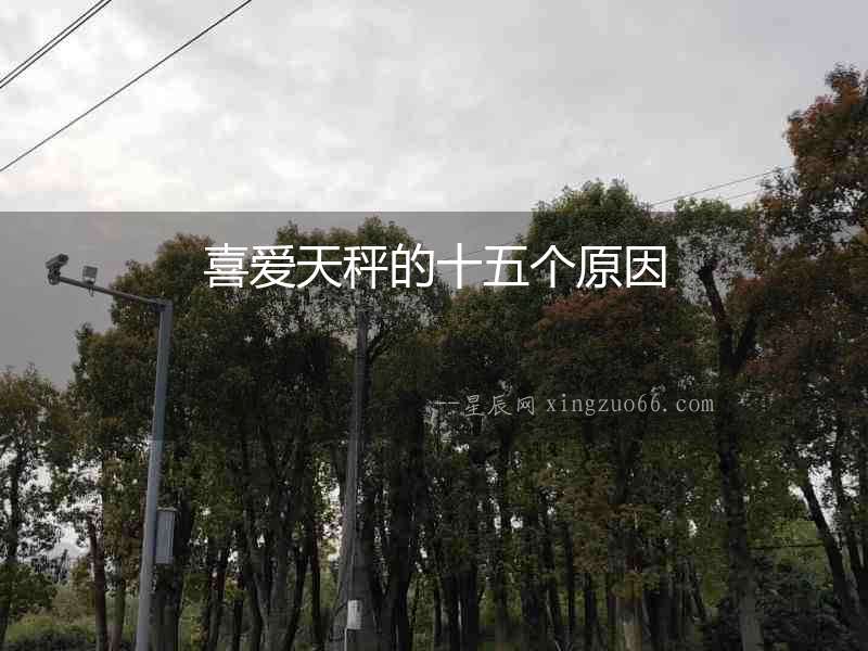 喜愛(ài)天秤的十五個(gè)原因