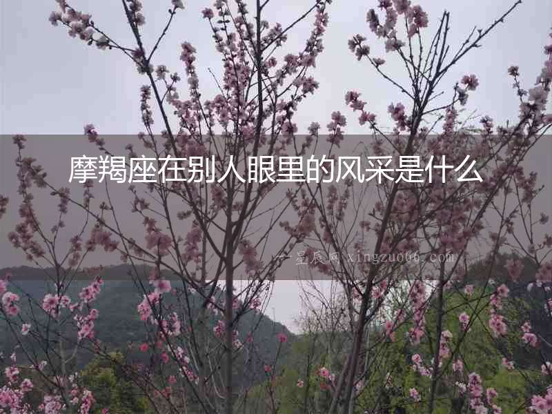 摩羯座在別人眼里的風采是什么