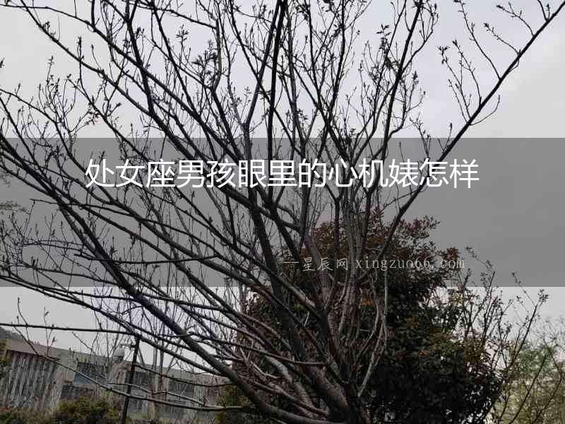 處女座男孩眼里的心機婊怎樣