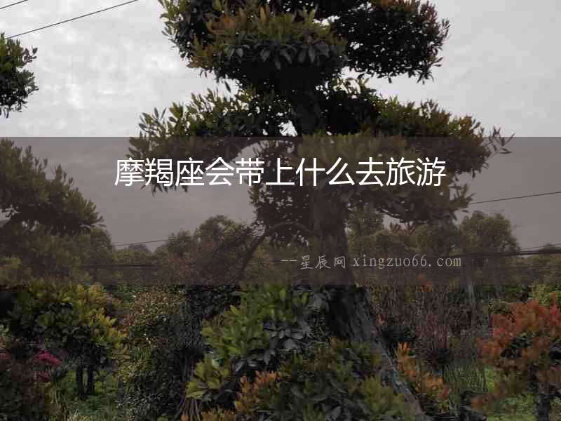 摩羯座會帶上什么去旅游