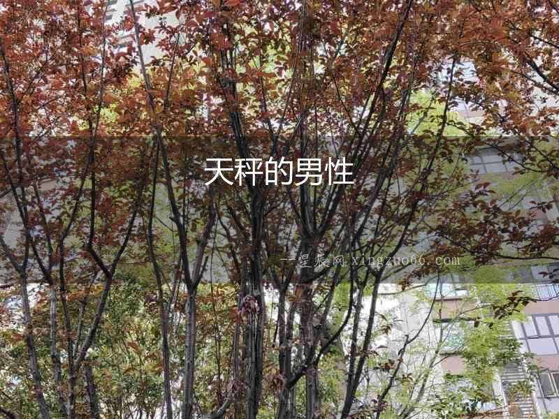 天秤的男性