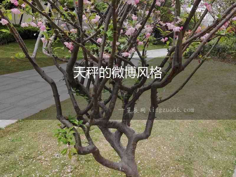天秤的微博風格