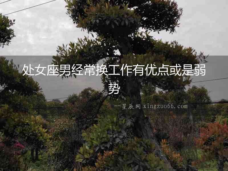 處女座男經(jīng)常換工作有優(yōu)點或是弱勢