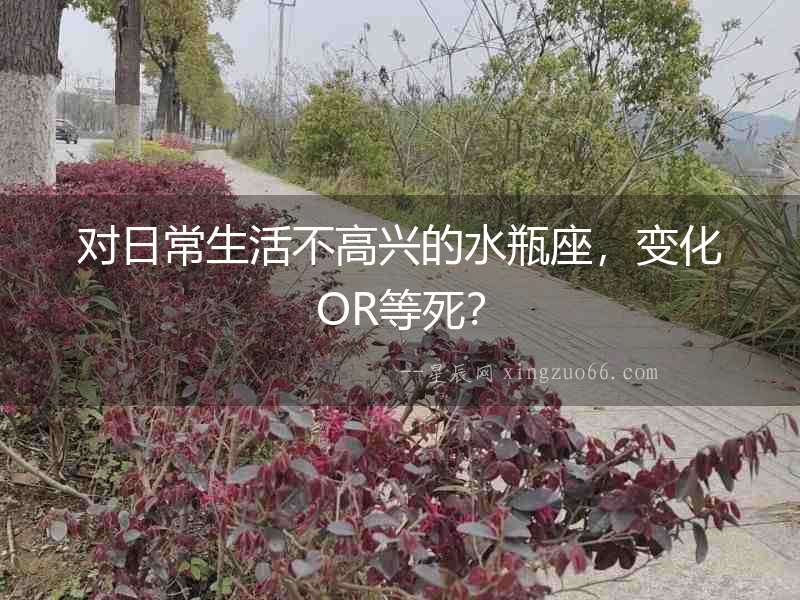 對日常生活不高興的水瓶座，變化OR等死？