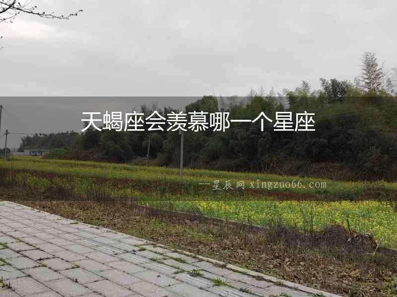 天蝎座會羨慕哪一個星座