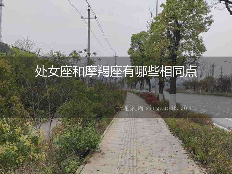 處女座和摩羯座有哪些相同點(diǎn)