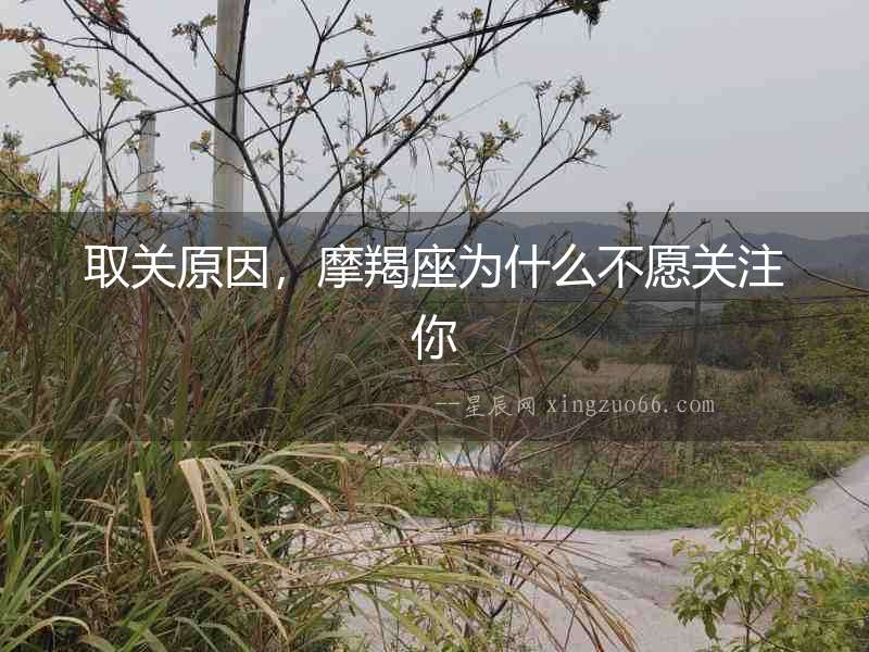 取關原因，摩羯座為什么不愿關注你