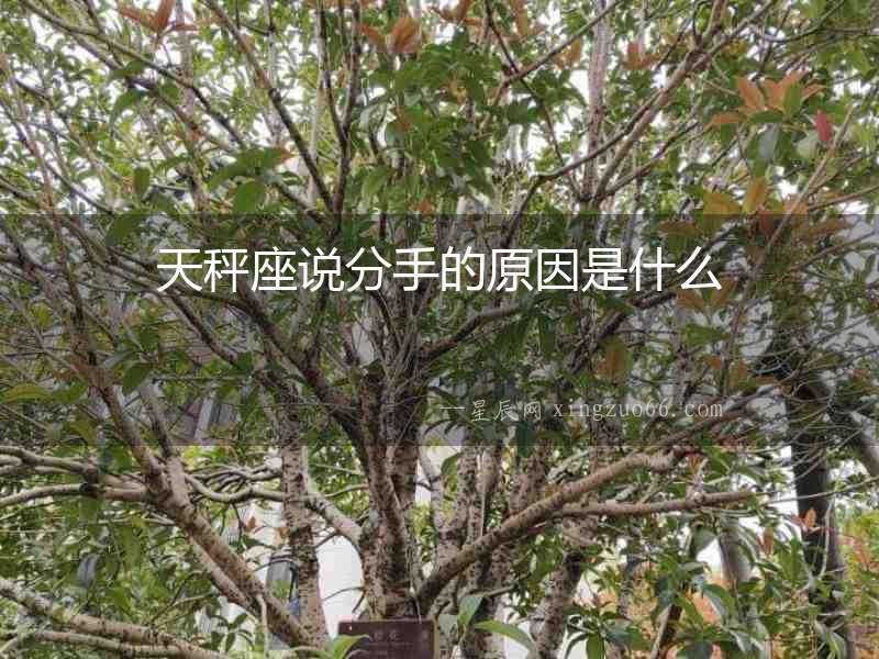 天秤座說分手的原因是什么