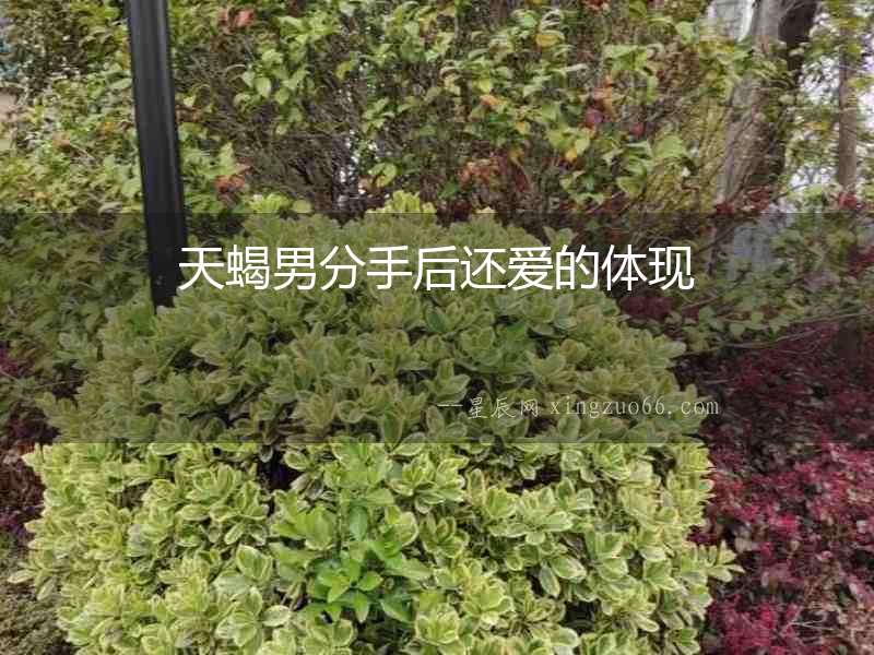 天蝎男分手后還愛(ài)的體現(xiàn)
