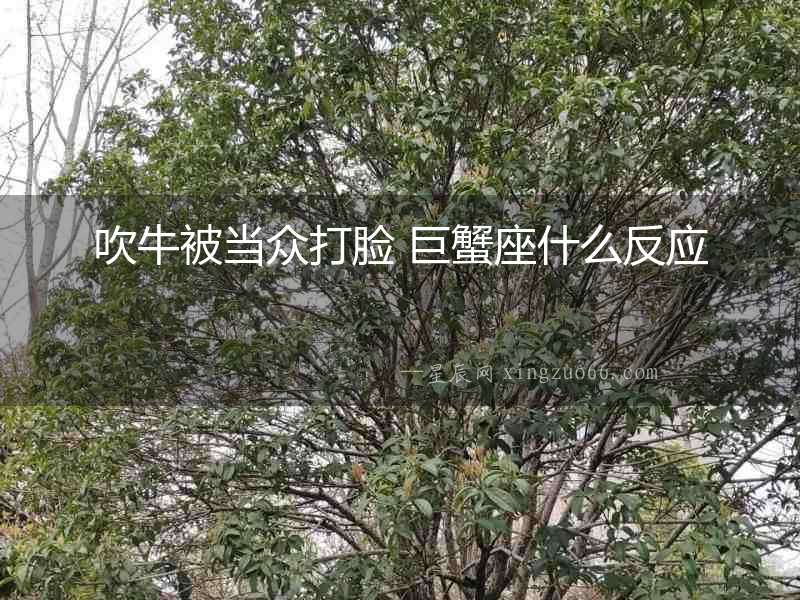 吹牛被當眾打臉 巨蟹座什么反應