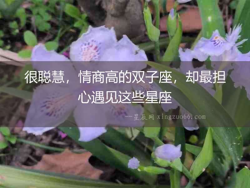 很聰慧，情商高的雙子座，卻最擔(dān)心遇見這些星座