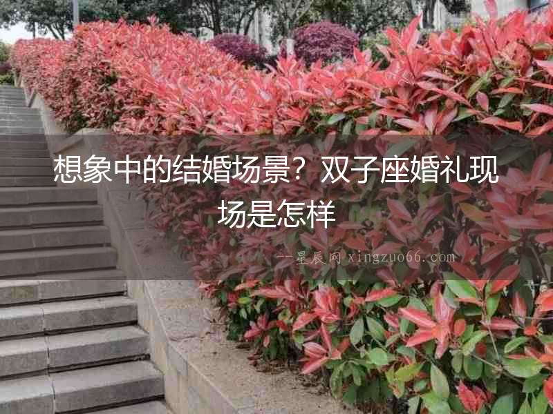 想象中的結(jié)婚場(chǎng)景？雙子座婚禮現(xiàn)場(chǎng)是怎樣