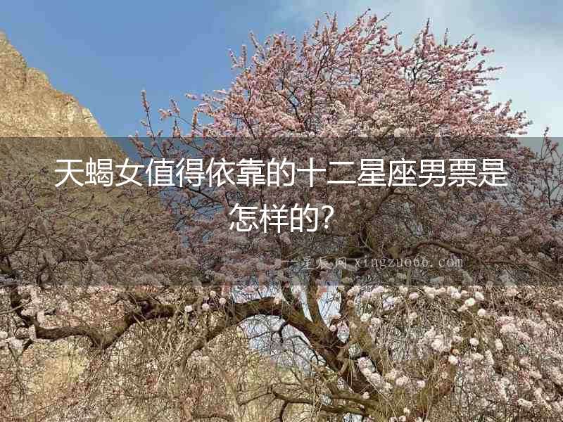 天蝎女值得依靠的十二星座男票是怎樣的？