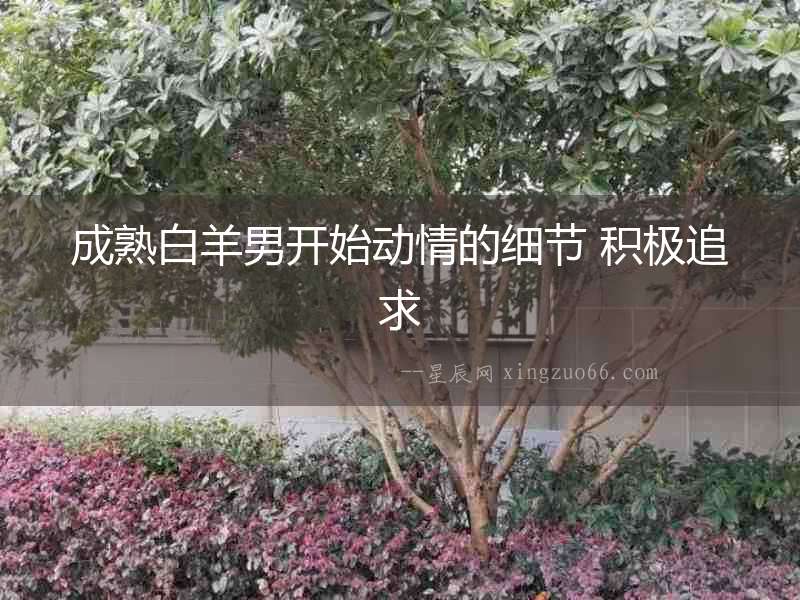 成熟白羊男開始動情的細節 積極追求