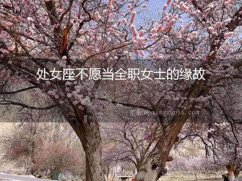 處女座不愿當全職女士的緣故